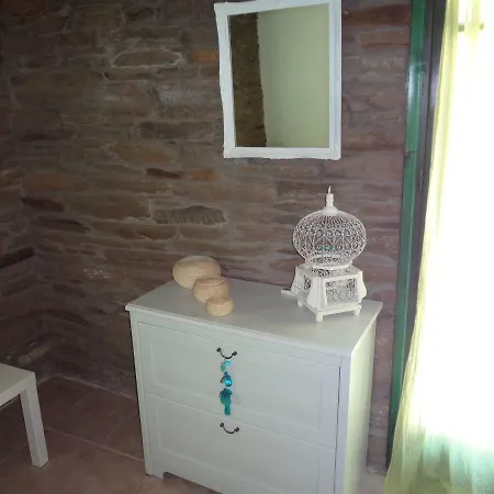 Hébergement de vacances Palm House *