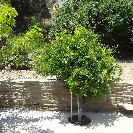 Palm House Σπίτι διακοπών