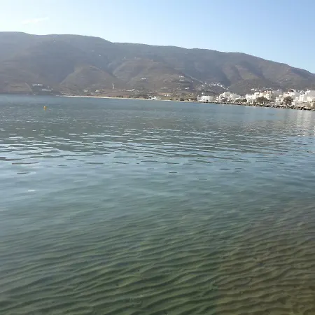 Hébergement de vacances Palm House