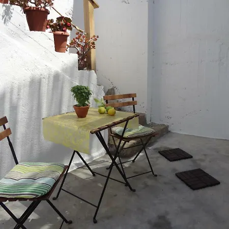 Hébergement de vacances Palm House *